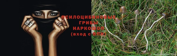 мдпв Наволоки